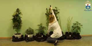 ������ ������ ������� � ���� ���� ����������������