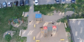 Жители микрорайона «Звезда» опасаются агрессивных собак на детской площадке