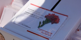 Жителей Саратова просят помочь ветеранам и купить «красную гвоздику»