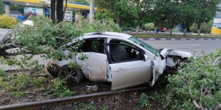 На Энтузиастов молодой водитель «Форда» снес дерево На Энтузиастов молодой водитель «Форда» снес дерево