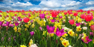 В саратовский степи пройдет всероссийский фотоконкурс В саратовский степи пройдет всероссийский фотоконкурс