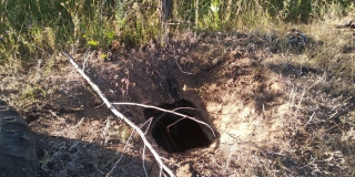 ��� ��������� � ������� ���� ����� ���������� ��������� � ���������������