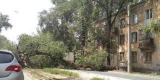 В Саратове из-за рухнувшего дерева «ЗИЛ» попал в аварию. Перекрыто движение трамваев В Саратове из-за рухнувшего дерева «ЗИЛ» попал в аварию. Перекрыто движение трамваев