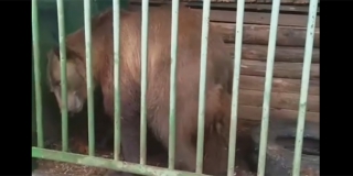 ��� ��������� � ������������ ������� ���������� ������� ������� � �������� � ������ 