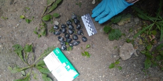 � ���� ������� �������� ������� ������ ����� 1 �� �������