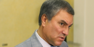 Вячеслав Володин поручил проверить депутатов Госдумы на наличие иностранного гражданства