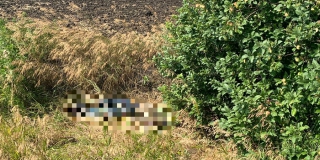 ��� ��������� ����������� ����� ��� ������� ���� ������������