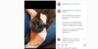 �������� ������� ������� ������ ���� �������