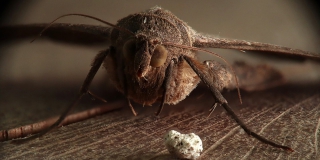 ����������� ������ ������� � ����� �� �����