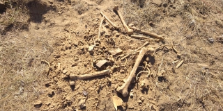 В Марксе при строительстве дома обнаружили кости человека