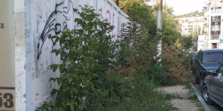 �� ������������� ����� ����� ��� ������ ���������. ����� ���������� � �������