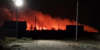 В Лысогорском районе загорелся лес