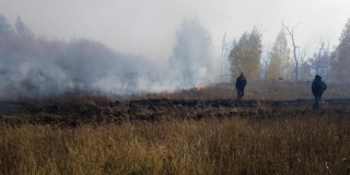 В Аткарском районе локализовали крупный лесной пожар