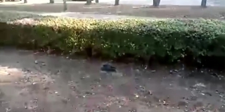 � �������� ������� ������ ����� ������� ������������ ����� ����