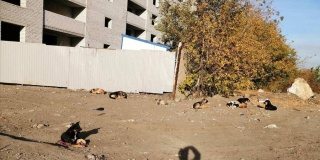 � ����������� ������� ��-�� ����� ����� ������������ � ���������� ������� ������