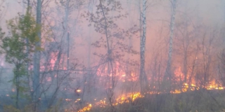В Саратовской области полыхает 5 лесных пожаров