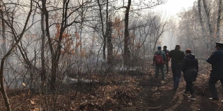 Масштабный лесной пожар под Аткарском удалось локализовать