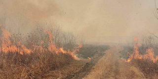 В Саратовской области продолжают бушевать 2 лесных пожара