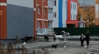 ������ ������������ ������� ������ ����� �� ������ ��-�� ��������� �������� �����