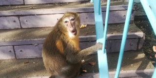 � �������� �������� ��������� �� ������� � ������ �� �����������