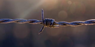 �������������� �������� ���Ż �������� � ������ ����������� � ��