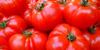 В Саратовской области пресекли перевозку 21 тонны нелегальных томатов