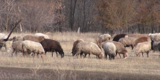 � ����������� ������ ��������� 6 ������������� � ����� ���� �����