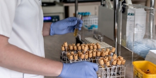 Саратовская область третий день бьет рекорд по суточному заражению коронавирусом. Плюс 219 Саратовская область третий день бьет рекорд по суточному заражению коронавирусом. Плюс 219