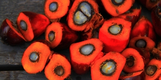 Саратовская область попала в число лидеров по ввозу пальмового масла Саратовская область попала в число лидеров по ввозу пальмового масла