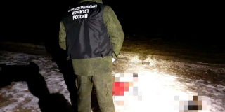 �������� ������ ����� ����� �� ��� ���� ���� �������