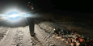 ��� ��������� ���������� ����� � ����� �� ������� ���� ��������� �����������