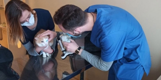 � �������� ������ ����������������� ����� ������� ������ ������� � ������������ � ������