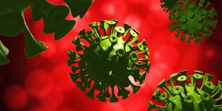 � ����������� ������� ����������� 259 ����� ���������� �������������