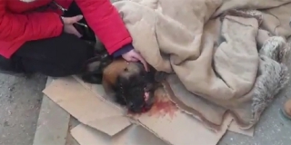 � ��������� ������ ��������� �������� ������ � ������ �����