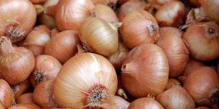 � ����������� ������� �� ��������� ���� 20 ���� ������������ ����