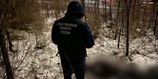 �������� ��������� �� �����-���������������� ����������� ����