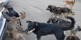 ���������� �������� �������� � ����� ����� ����� ��������� � �����