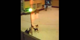 � �������� ���� ����� ����� ��������� ���������� �������� ����