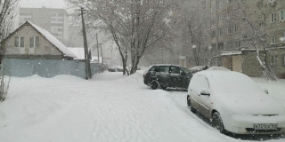 В МЧС заявили о сильном снегопаде, метели и тумане в Саратовской области