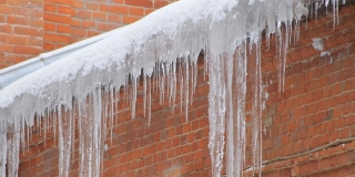 � ��������� ������ ������� ����������������� ����� ������� ���� �� ������