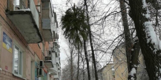 � �������� �������� �������� �������� �� ������ ����