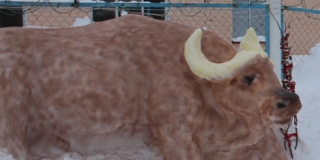 ����������� ���������� ����������� �� ������� ������� � ���� �� �����