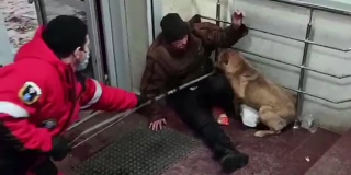 В Заводском районе собака взяла «в плен» посетителей магазина