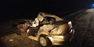 ������� ����������� � ���������� ����� ������������ � ������. �������� �����