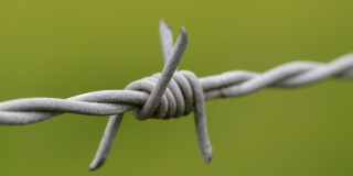 ��������� �������� 2,5 ���� � ������� �� ������ ������� ���������� ����