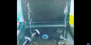 � ������� ������� �� ������� ���� ������ ������� ����