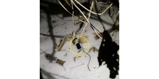 � �������� ������� ���� ����������� ������������� ����������