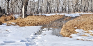 В Саратовской области ждут аномальное количество осадков в марте