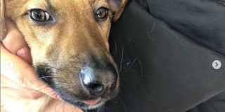 � �������� ������ �� ���� ����� ������ ����  � ������ � �����������