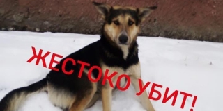 ���������: � �������� �������� ���������� ��� �������� ������